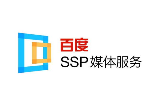 蜘蛛池强引开多少合适